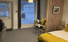 The Cozy Apartment